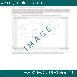 グローバルリサーチ調査資料のイメージ